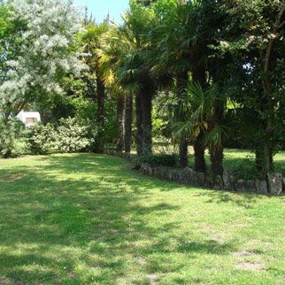 Location Emplacement Camping Ile D Oleron