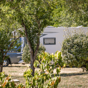 Emplacement Xl Pour Tente Vans Caravanes Caping Cars Oleron
