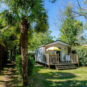 Camping Les Embruns Oleron Mh Rousserolle 1 Dormitorio 2 Personas Versión 1.1