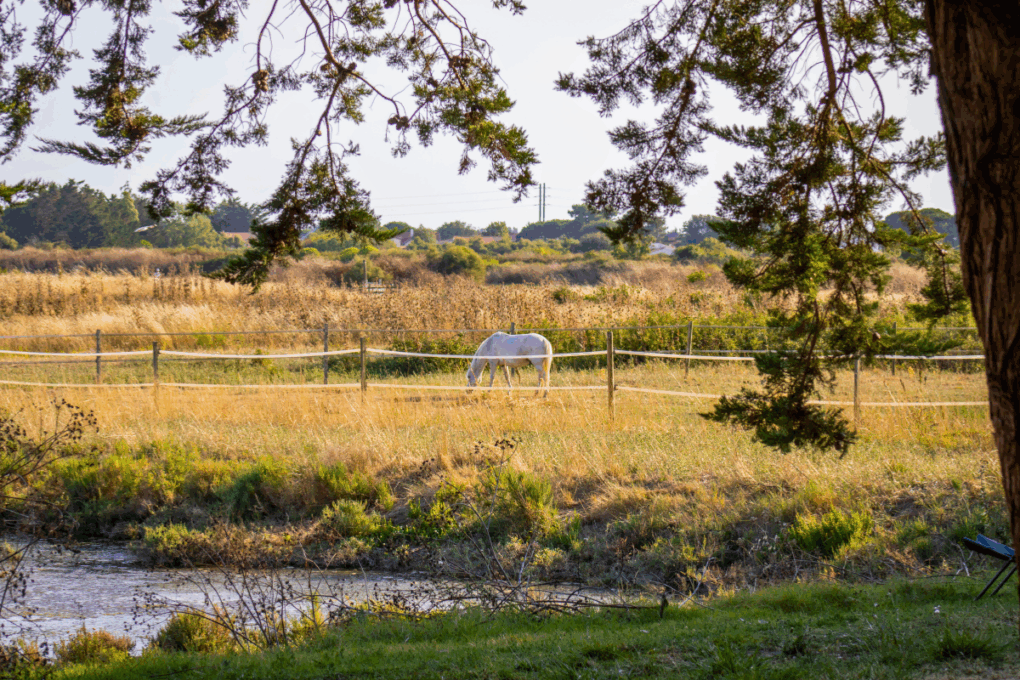 Emplacement Premium Avec Cabanon Les Embruns Doleron