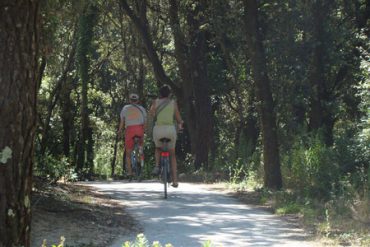 Oleron Forest Exit