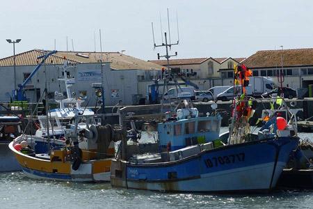 Camping Port Cotiniere Oleron