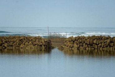 Fischschleuse Saint Georges Oleron