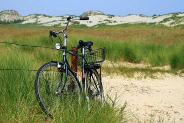 Cycle path Ile Oleron Camping