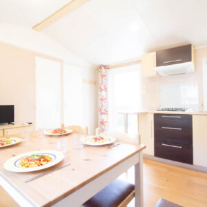 Mobile Home 4 People Aigrette in Oleron Kitchen